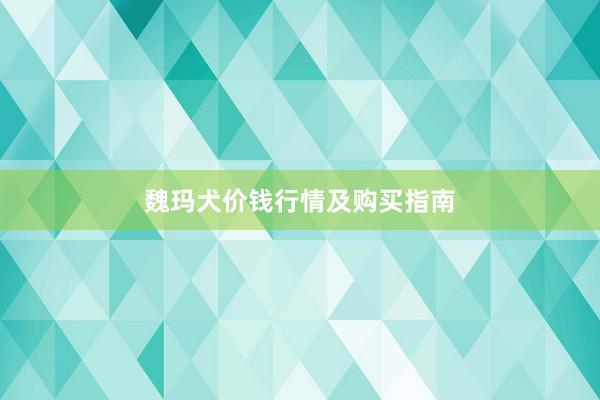 魏玛犬价钱行情及购买指南