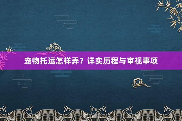 宠物托运怎样弄？详实历程与审视事项