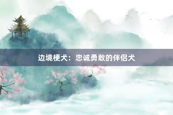 边境梗犬:忠诚勇敢的伴侣犬