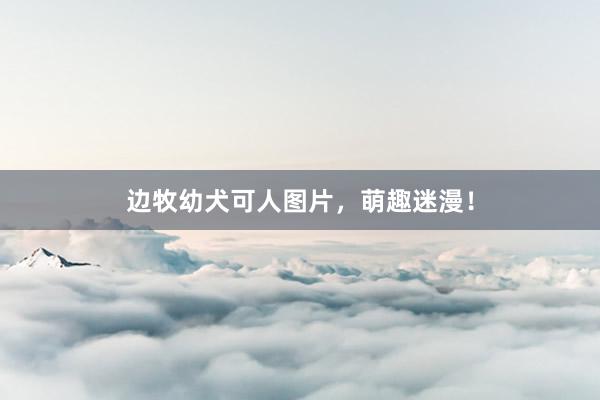 边牧幼犬可人图片,萌趣迷漫!
